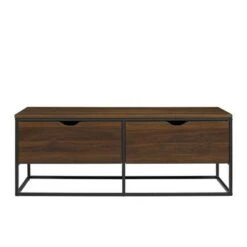 Modern 47.75" 2 Drawer Entry Storage Bench - Saracina Home Dark Walnut