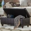 Ekron Storage Bench Bi - Cast Vinyl Dark Brown Inspire Q -Ottomans Official Shop unnamed file 7930